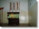fotky 08_057.jpg
